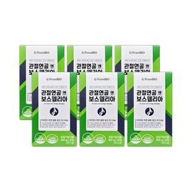 From Bio Articular Cartilage Boswellia 30 tablets 6 boxes / 프롬바이오 관절연골엔 보스웰리아 30정 6박스