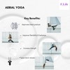 F.Life Aerial Yoga Hammock kit Include Daisy Chain,Carabiner and Pose