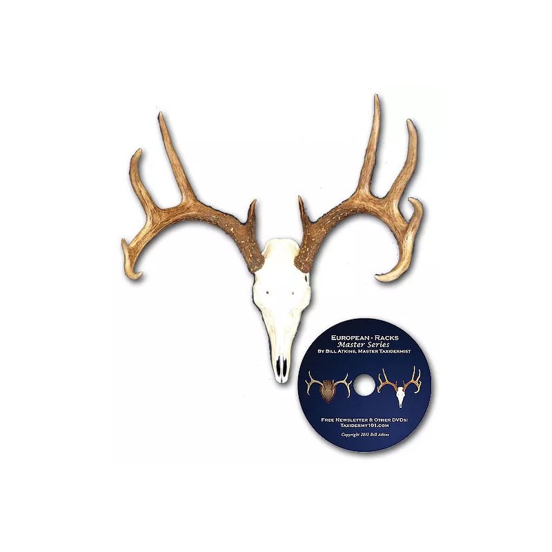Bill Atkins European skull mounts and deer horn plaque mounts.