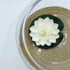 12" Large Round Glass Lotus Bowl Planter with Rattan Mat