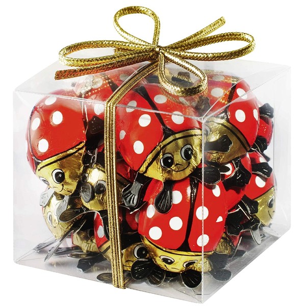 Riegelein Chocolate Mini Ladybugs in Gift Container 100g