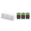 D'vine Dev Herb Garden Planter Set, Plastic Plant Pots with