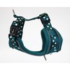 Adjustable Airmesh, Teal Stars Glow in the Dark, 4-7