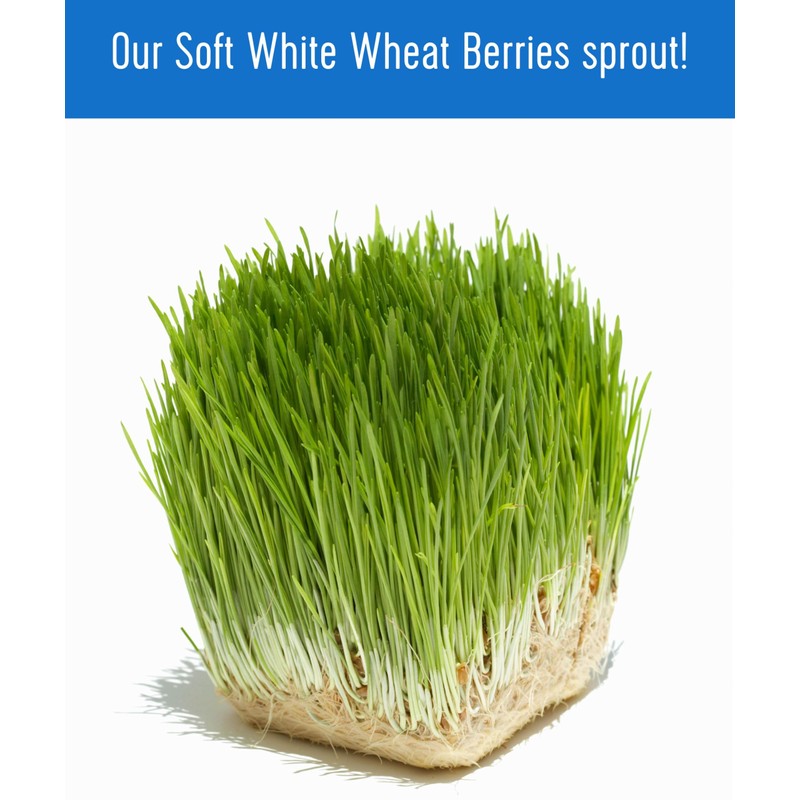 Certified Glyphosate Residue Free Soft White Wheat Berries | 18