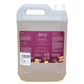 Ayluna Naturkosmetik Shampoo Fine Hair Root Strength with Organic Ginger & Organic Liquorice Root in 5 L Canister