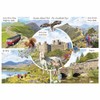 Otter House Gift Jigsaw Puzzle 1000 Piece - Snowdonia National