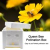 TOMVAES Bee Hive Box Bee Box Single Layer Foam Box