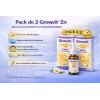Growvit Zinc, Vitamina B12, Manzanilla Suplemento 2 Pack