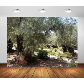 Loccor 7x5ft Fabric Ancient Olive Trees Backdrop Mount of Olives Garden Old Olive Trees in Jerusalem Background Christian Holy Place Wall Decor Israel Party Decorations Photo Props