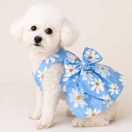 Small Dog Harness Dress Bow Female Dog Clothes Print Flower Girl Dog Harness Dresses Puppy Outfits with Leash Set Summer Cat Princess Pet Dresses, Blue S
