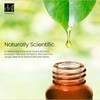 Dr Botanicals Turmeric Superfood Restoring Treatment Mask The Apothecary Collection