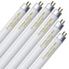 F24T5/865 6 Pack 22 Inch T5 Fluorescent Grow Light Bulbs,