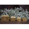 Arras Matrimoniales Para Boda de baño de Oro 24K con