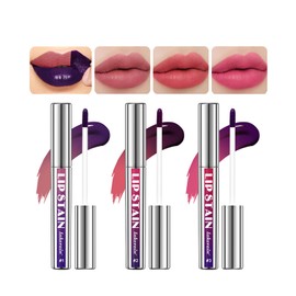 DENESTUP 3Pcs Peel off Lip Liner Stain, Peel off Lip Liner Tattoo Matte Finish Lip Stain, Colors Change Lip Gloss Long Lasting Waterproof Plump Lip Contour Gloss Makeup