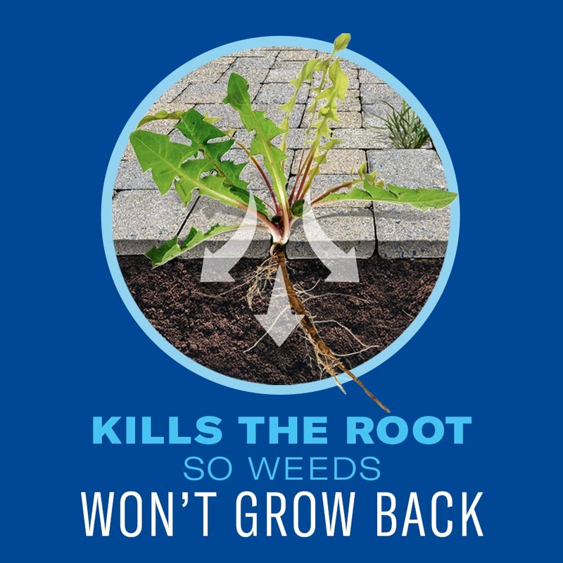 BioAdvanced 365 Weed Killer Spray & Grass Killer Concentrate, 28