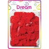 Dream World Self Hinge Barrette Daisy Red 60 Piece Pack