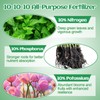 10-10-10 Premium Fertilizer - Quick-Release All-Purpose Plant Food for Indoor/Outdoor