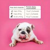 Suplemento Multivitamínico Para Perros Y Gatos Con Echinacea 90g
