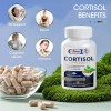 Alliwise Cortisol Supplement Ashwagandha L-theanine Relieve Stress w/Magnesium, Rhodiola