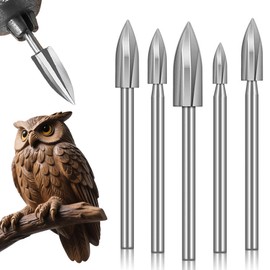 QivaZira 5 Pcs Wood Carving Drill Bits Set 1/8 Inch Shank Rotary Tool Accessories for Engraving Grinding Woodworking Burr Bit Kit for DIY Sculpture Stone Metal Carving Crafting Tools