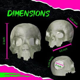 Reptile Hide - Spooky Skull Decor Reptile Tank Accessories. Great Small Snake Hide or Skull Aquarium Decor for pets. Reptile Terrarium decor for Snake Tank. Unique & Durable Cave Reptile Hideout.