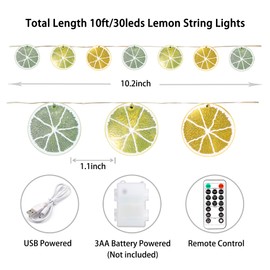 Lemon LED String Lights USB/Battery Operated Light String with Remote Timer 10FT 30LEDs Lemon Light Bulbs with Branches Leaves Fairy Lights for Bedroom Garden Party Christmas Spring Decorations
