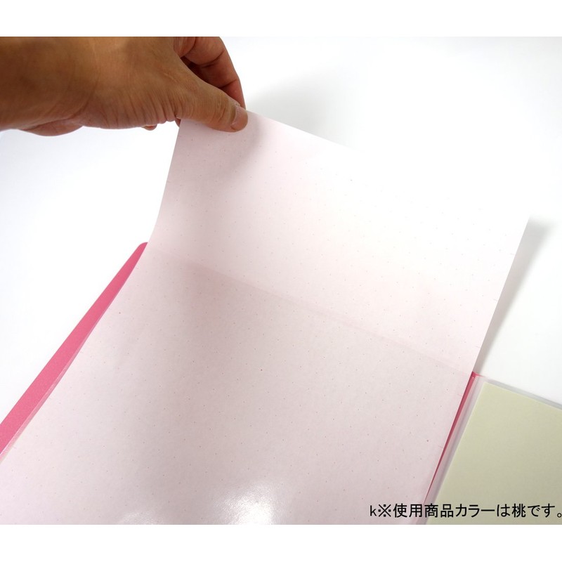 Kokuyo P3LA - L60NYR POSITY A4 File Clear File 60