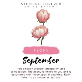 Sterling Forever - Birth Flower Necklace - 14K Gold Plated or Rhodium Plated Brass - Statement Pendant - Adjustable Chain, Lobster Clasp - 16” Chain, 2” Extender - Nickel Free