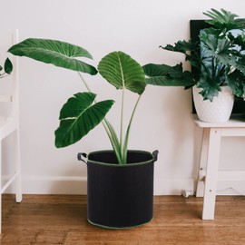 DOITOOL 5 Pack 4 Gallon Plant Grow Bags, Nonwoven Plant Fabric Pots with Handles, Vegetable/Flower/Plant Grow Bags for Nursery Garden Planting