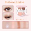 LiangNiShi 4 Color Eyeshadow Palette Teardrop Bag Makeup with Concealer