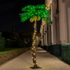 TYBEEU 5ft Lighted Palm Tree 136 LED Lights with Glowing