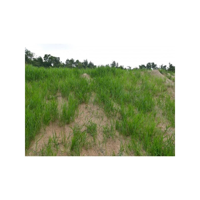 Farm Plastic Supply - Double Net Straw Erosion Control Blanket