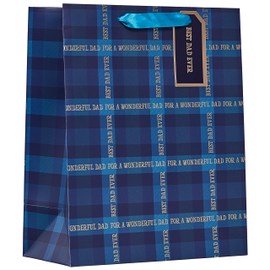 Design by Violet Blue ‘For A Wonderful Dad’ Gift Bag with Gift Tag for Father’s Day, Birthday, Occasion, For Dad, Gift Wrap, Best Dad Ever, Tartan Design - Large Size
