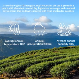 Yuexi Da Hong Pao Tea Floral Dahongpao Tea Oolong Tea Loose Leaf Big Red Robe Oolong Tea Chinese Tea Dahongpao Oolong Tea Fujian Wuyi Mountain 120g/4.23oz 大红袍 花香型 花香大红袍 乌龙茶 福建武夷山岩茶