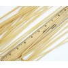 Bucatini Organic Italian Pasta di Gragnano | I.G.P. Protected |