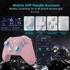 2.4G Wireless PC Controller with RGB Lighting/Programming Keys/Hall Joysticks/Hall Triggers/Vibrations,Three-Mode