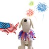 Lionheart glory American Flag Dog Collars Elastic Fancy Holiday Accessory