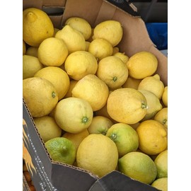 Fresh Organic Lemons from California - Unsprayed Chemical-Free - 2 lbs