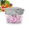 Manual Food Processor Vegetable Chopper 2.3 Cup Small Mini Hand