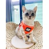 Travel Cat Harness and Leash Set - Adjustable Soft Mesh