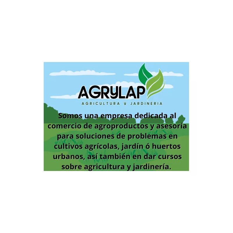 agrylap 3kg Acido Bórico Polvo Varios Usos Grado Técnico