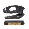 73510 Dinosaur hukuiraputoru Skull Mini Model (FDW – 510)