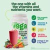 Vega All-in-One Vegan Protein Powder