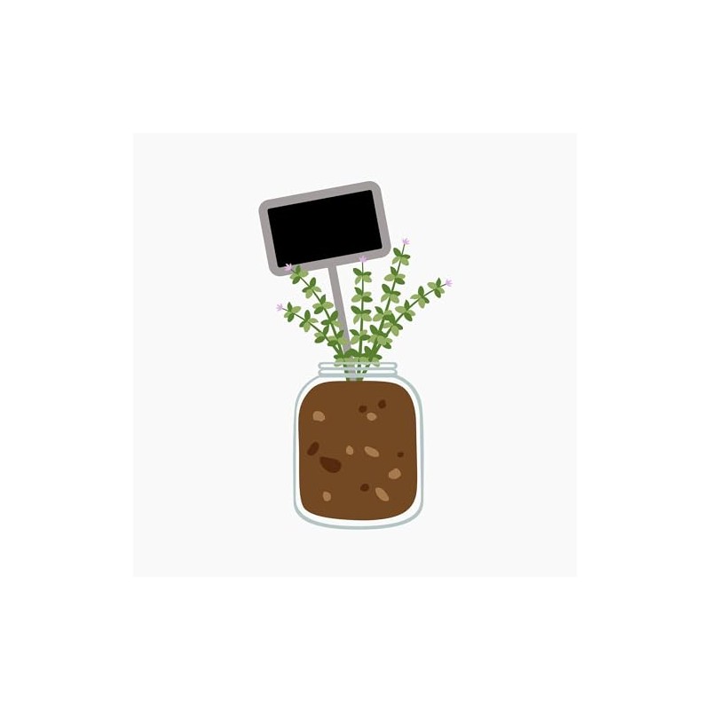 CafePress Thyme Jar Magnets 2.25" Magnet (100 pack)