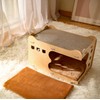 PetHse Magic Organ Cat Scratching Board, Interactive Scratch Pad Cat