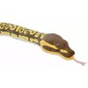 Wild Republic - Snakes - Ball Python - 54"