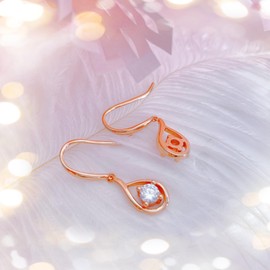 Naniwaai Women's Earrings, Popular, Birthstone Earrings, Dangling, Drop Earrings, Hypoallergenic, 18K Gold, Brachilla Plated, 925 Silver, Hooked Earrings, Gift, Birthday, Wedding Anniversary,