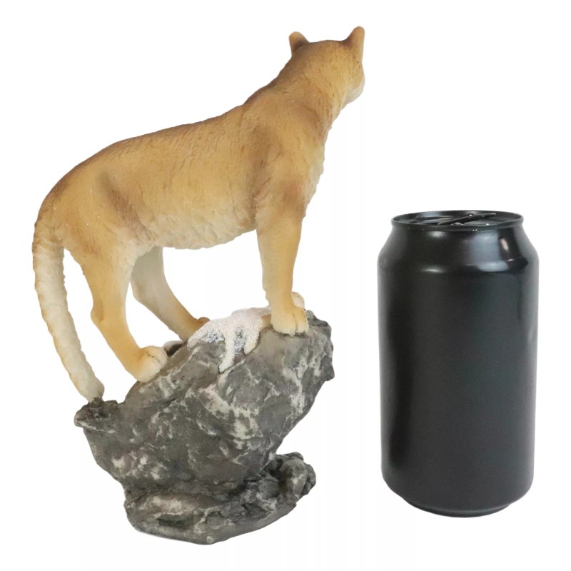 Mountain Lion Cougar Standing On Edge of Snow Capped Rock