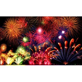 Summer Firework Festival 500 Piece Puzzle