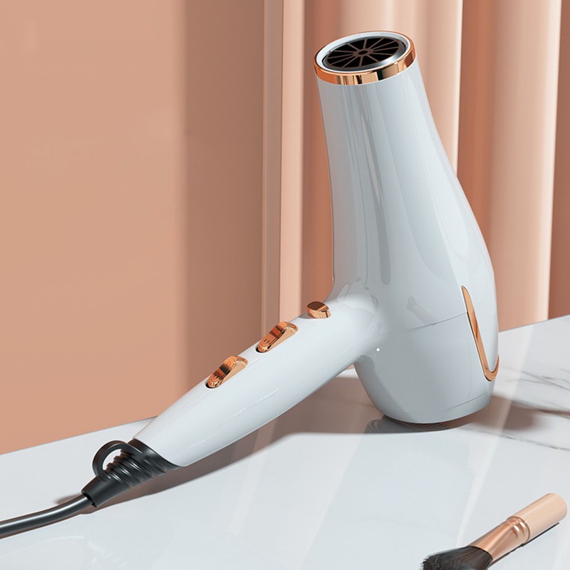 Electric Hair Dryer Adjust Temperature Wind Speed Blow Dryer Hair